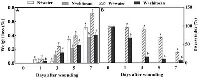 Chitosan Treatment Promotes Wound Healing of Apple by Eliciting Phenylpropanoid Pathway and Enzymatic Browning of Wounds